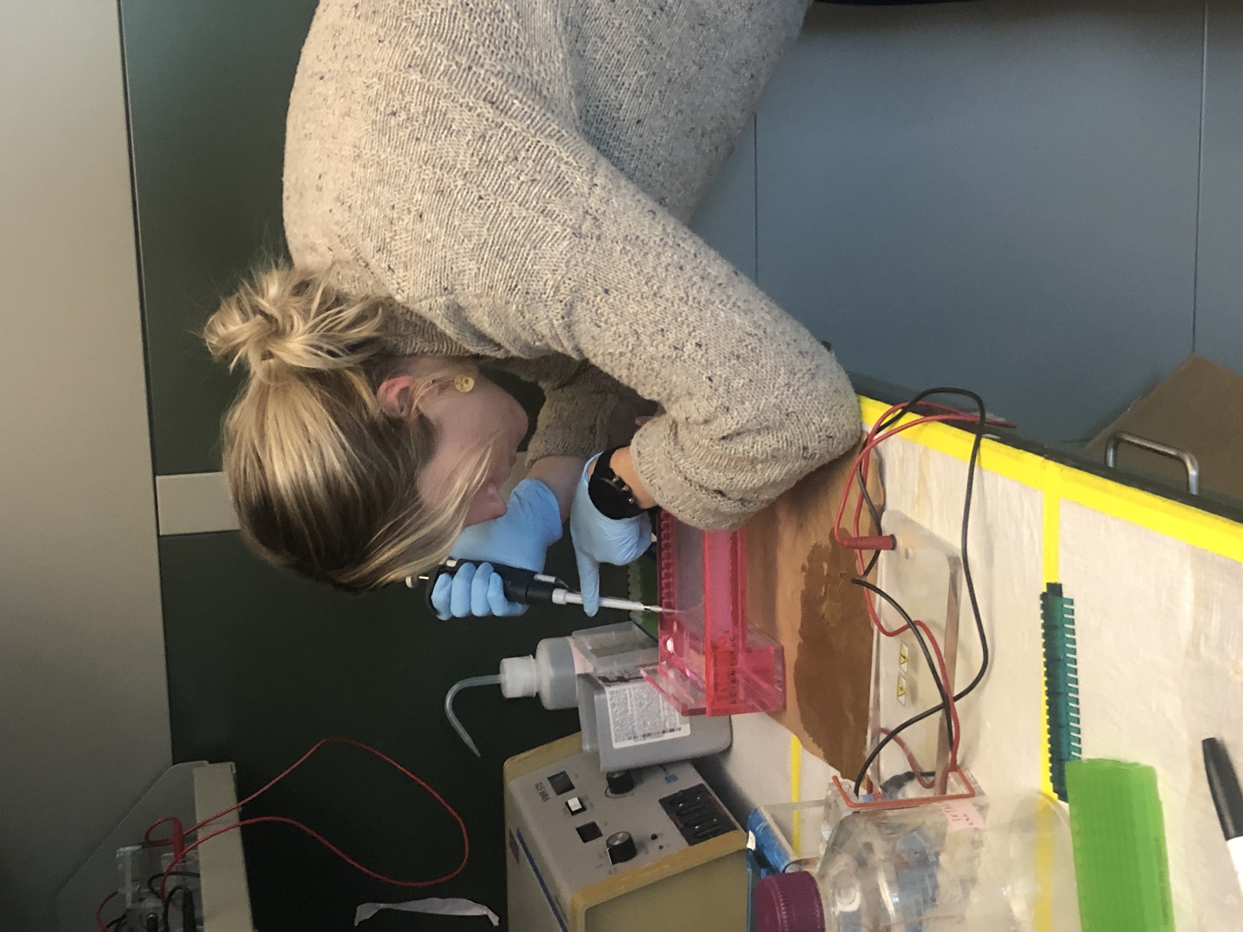 Elsa Smith - Biology Research Assistant