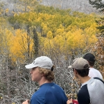 Schutzenski aspen trees