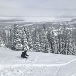 Skier
