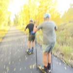 speedy trees